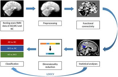 Classification of Alzheimer’s Disease Based on Abnormal Hippocampal Functional Connectivity and Machine Learning